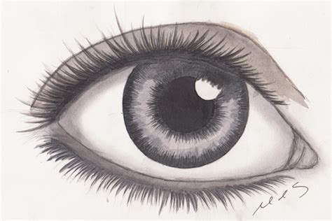 Красивые рисунки карандашом для начинающих глаз ФОТО