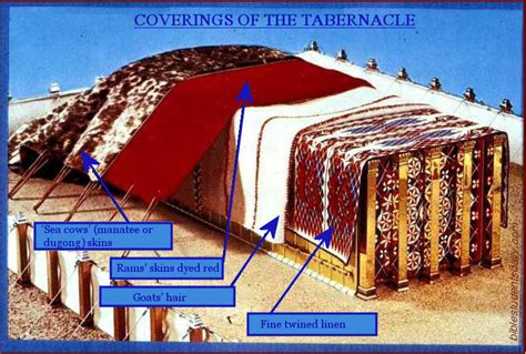 Study 8 The Tabernacle Coverings Bible Students Daily