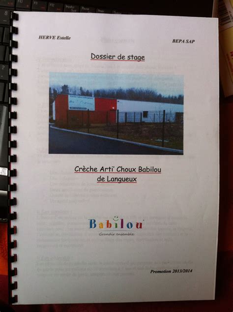 Exemple De Rapport De Stage Bac Pro Cgea Financial Report