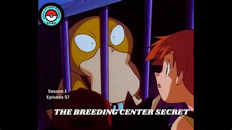 The Breeding Center Secreti Pokémon Season 1 Episode 57 Youtube