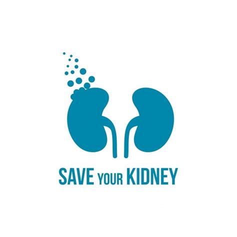 Kidney Medical Vector Hd Images Medical Kidney Logo Icon Organ