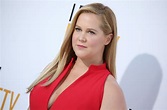 Amy Schumer Spoofs 'A Star Is Born' Billboard to Promote Netflix ...