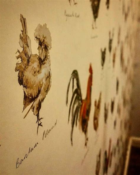 Loving Our New Laura Ashley Chicken Wallpaper Chickenhour
