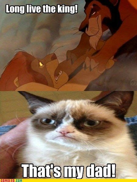 Grumpy Cat Is An Evil Princess Meme Apartmantumblr