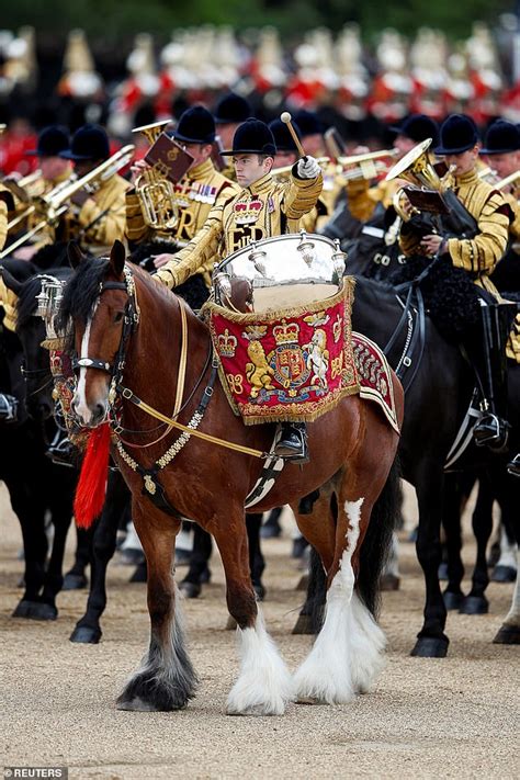 Household Cavalry Horse Named Apollo Appears At Queens Funeral