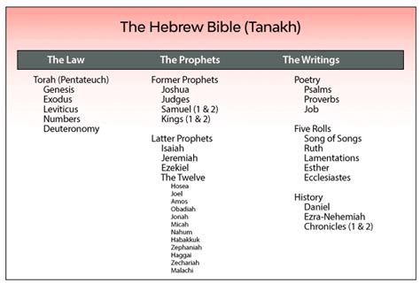 The Difference Between The Hebrew Bible And The English Bible God Tv News