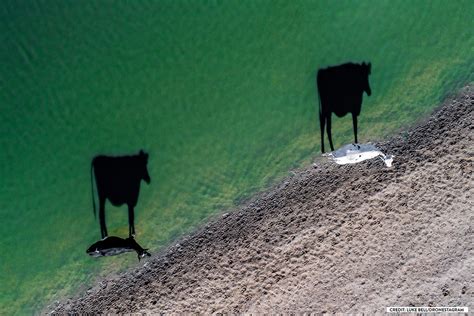 winners of 2017 international drone photography contest