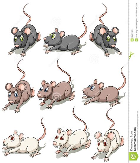 Clipart Mice 10 Free Cliparts Download Images On Clipground 2024