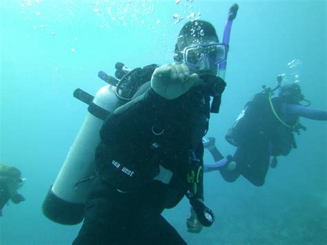 Aquatic Escapes Dive Center Photos