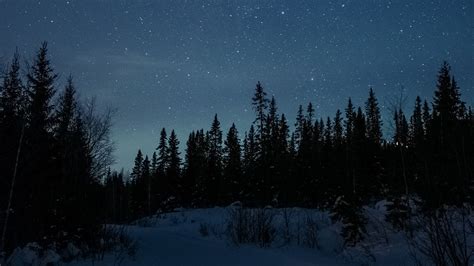 Hd Wallpaper Night Forest Winter Road Snow Stars Download