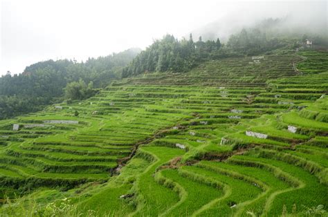 The Most Beautiful Rice Paddies In China