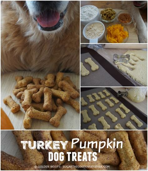 Homemade Thanksgiving Dog Treats Golden Woofs