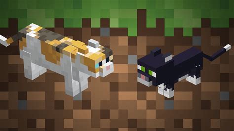 Katzen In Minecraft Gportal