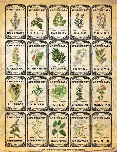 Vintage Herb Apothecary Labels Vintage Herbal Tags Digital Etsy