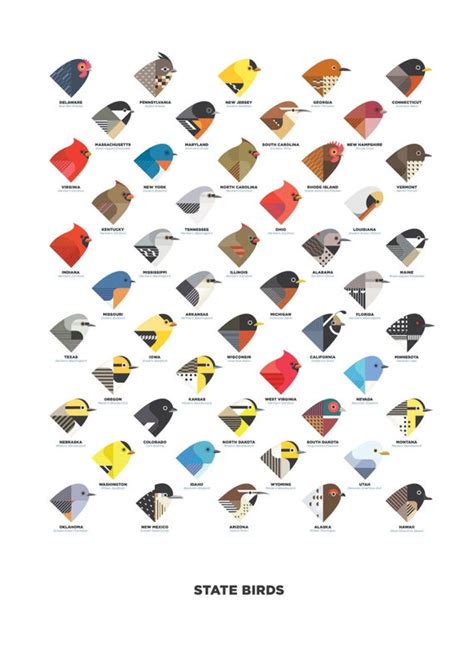 All state flowers and birds. State Birds digital illustration / art print