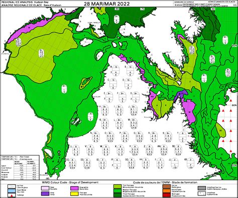 hudson bay weekly stage of development 2022 march 28 polarbearscience