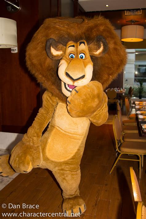 Alex The Lion At Disney Character Central