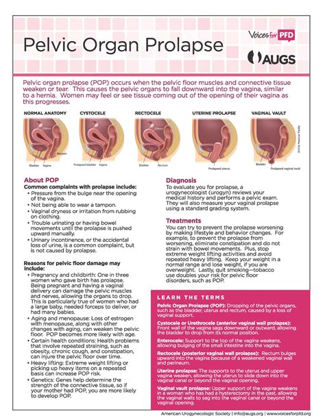 Patient Fact Sheets Pelvic Floor Pelvic Organ Prolapse Fact Sheet