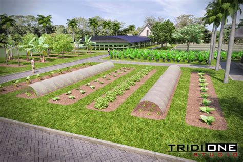 Progam wisata edukasi agro sayur. TRIDI ONE STUDIO: Agro Wisata