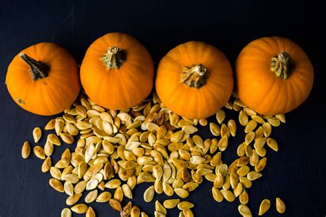 When To Plant Pumpkins Seeds Storables