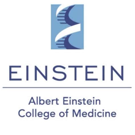 Albert Einstein College Of Medicine Of Yeshiva University Doctor Of