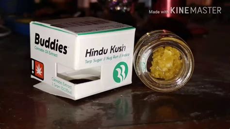 Buddies Terp Sugar Nectar Cannabis Youtube