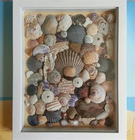 Shore Finds White Shadow Box 8in X 10in From Shore Treasures Shell
