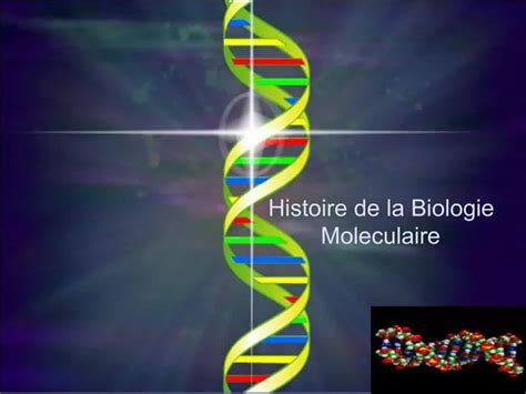 Ppt Histoire De La Biologie Moleculaire Powerpoint Presentation Free Download Id285970
