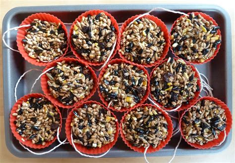 If you make the whole recipe and have too much, it freezes very well. Guest Post - Homemade bird seed cakes - Emmy's Mummy