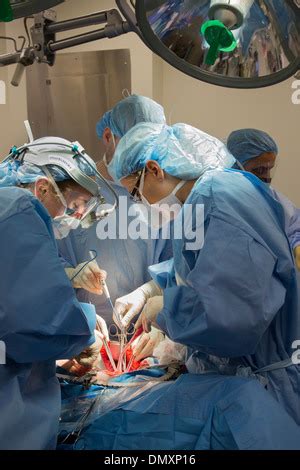 Surgeons Perform A Hysterectomy On A Woman With Endometrial Cancer