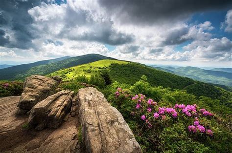 Roan Mountain Radiance Appalachian Trail Nc Tn Mountains By Dave Allen