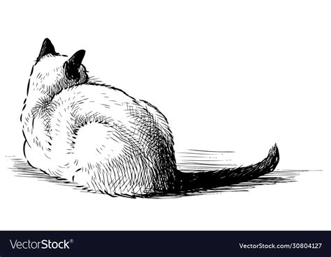 How To Draw A Laying Down Cat