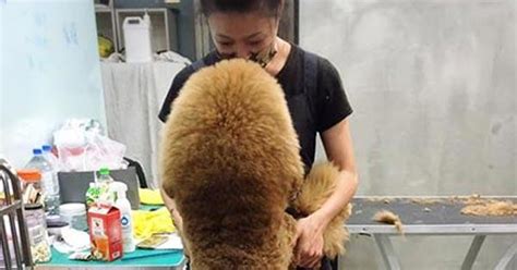 เก๋ไก๋ สไลเดอร์ ผู้ใช้เฟซบุ๊กรายหนึ่งโพสต์ร่ายยาวถึงยูทูปเบอร์ชื่อดัง เก๋ไก๋ สไลเดอร์ ด้วยข้อความว่า วันก่อนไปเจอมา คือลูกกับหลาน** ข่าววันนี้ ข่าวด่วน ข่าวเด่นล่าสุด