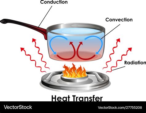 Diagram Showing How Heat Transfer Royalty Free Vector Image