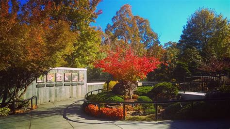 Review Of The North Carolina Arboretum In Asheville