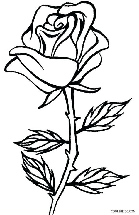 Below the table of coloring pages are included some interesting facts about roses. Heart With Roses Drawing | Free download on ClipArtMag