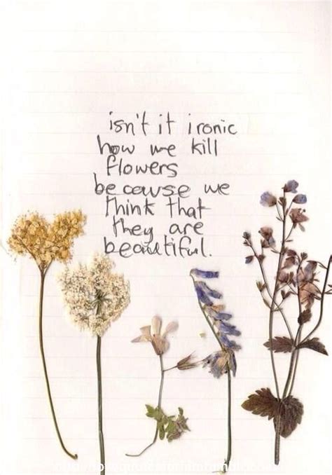 Flower quotes are the perfect way to share your love for the garden! Tomorrowland | via Tumblr | Flower quotes love, Flower ...