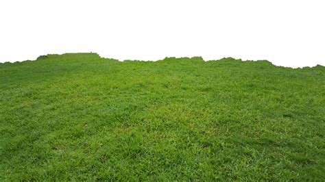 Download Grass Png High Quality Image Grass Full Size Png Image