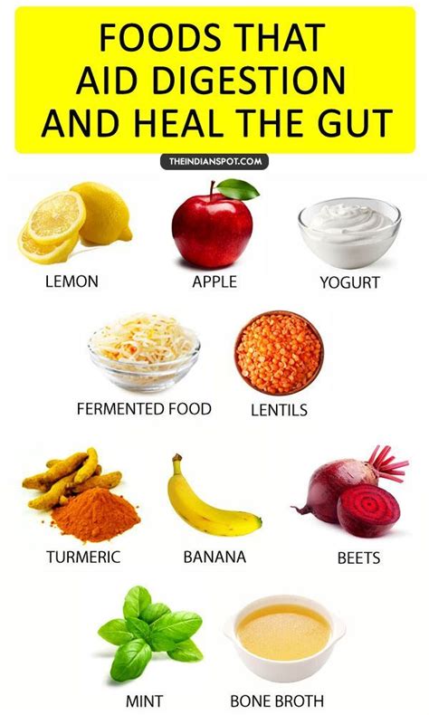 Colonoscopy Beverly Hills Explains Why These Foods Aid Your Gut And Improve Overall Health