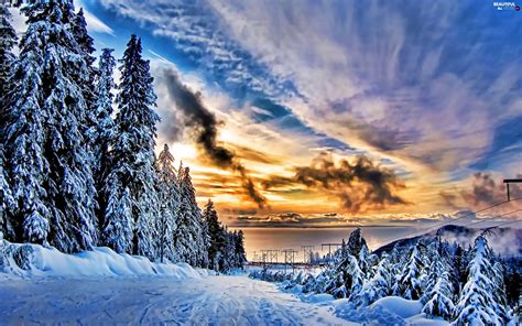 Great Sunsets Viewes Snow Trees Beautiful Views Wallpapers 2560x1600