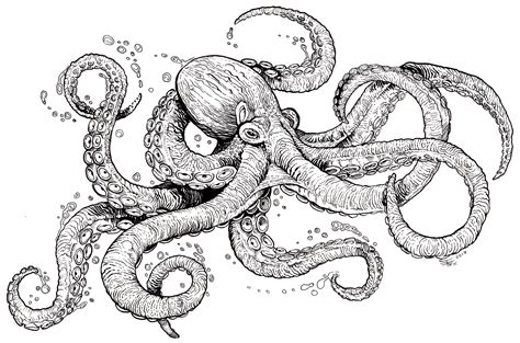 Octopus Coloring Sheet - Coloring for Young Adults