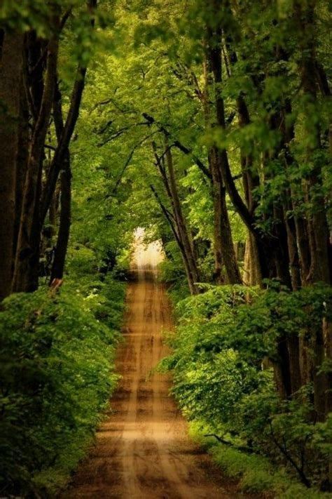 Image Result For Country Dirt Road With Trees Beautiful World