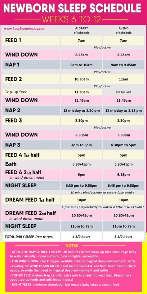 Sleep Schedules Artofit