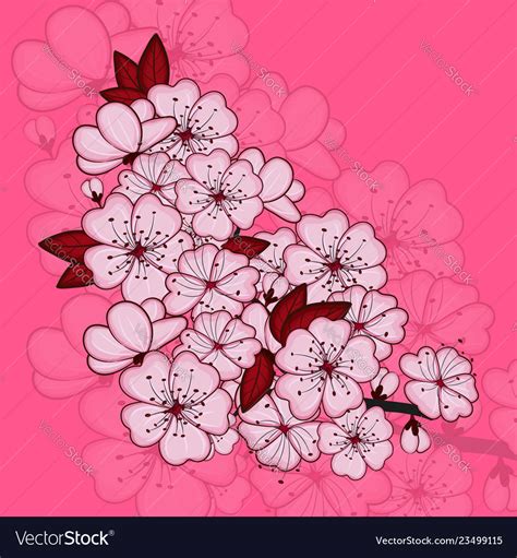 Cherry Blossom Flowers Royalty Free Vector Image