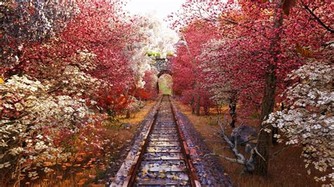 Railway Track In Autumn Forest Youtube