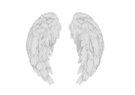 Angel Wings Wings Png Images Transparent Free Download Free Riset