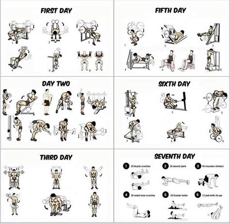 Gym Workout Program For Beginners Paperblog Weekly Workout Plans 7