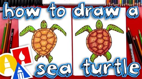 How To Draw A Realistic Sea Turtle Art For Kids Hub Sea Turtle Art
