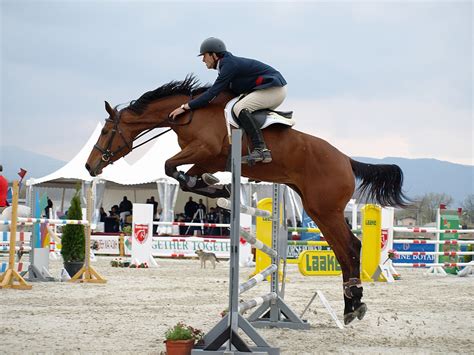 Free Images Person Horse Stallion Competition Leaping Western