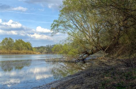 HDR - Fluss Drau - Seitenarm Foto & Bild | landschaft ...